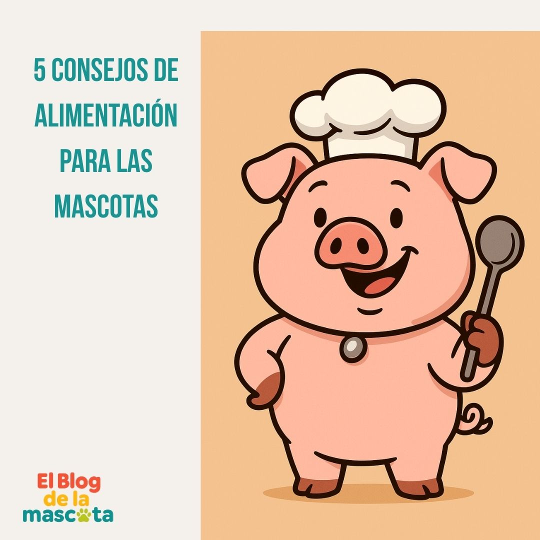 5 consejos sobre alimentación de las mascotas por la Dra. Andrea Brenes Soto, directora del Centro de Investigación en Nutrición Animal